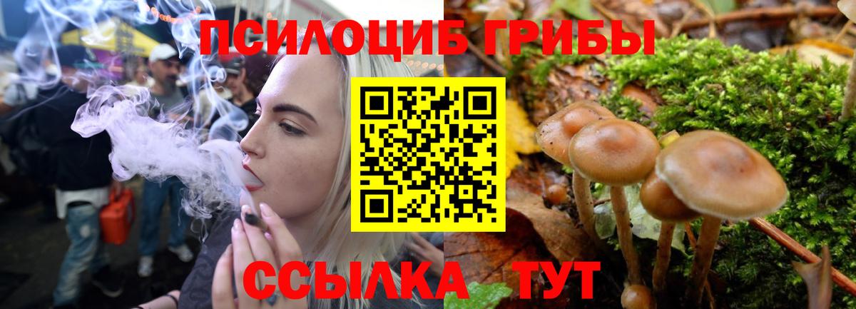Удомля  Галлюциногенные грибы Magic Shrooms  Вход с VPN  Галлюциногенные грибы GOLDEN TEACHER 